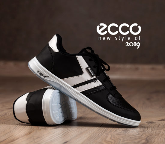 کفش مردانه Ecco